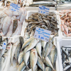 Fresh fish from the Varvakeio Municipal Market